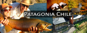 Patagonia slider 1 2020