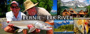 Fernie Elk River slider 2020 Andres Fly Fishing
