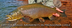 Dry fly magic moments