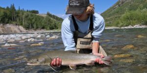 Bull trout elk river fernie canada