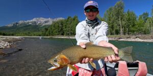westslope cutthroat trout elk river fernie canada