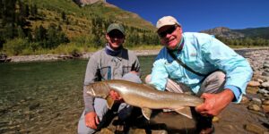 Bull trout elk river fernie canada