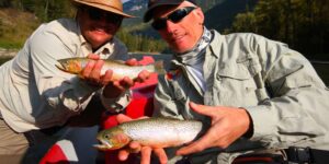 westslope cutthroat trout elk river fernie canada