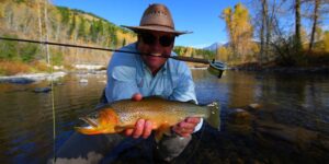 westslope cutthroat trout elk river fernie canada