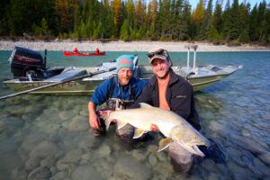Bull trout elk river fernie canada