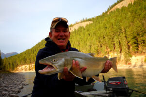 Bull trout elk river fernie canada