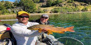 Brown trout fly fishing Patagonia Chile