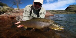 Brown trout fly fishing Patagonia Chile