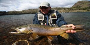 Brown trout fly fishing Patagonia Chile