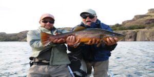 Brown trout fly fishing Patagonia Chile