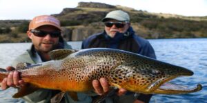 Brown trout fly fishing Patagonia Chile