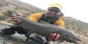 Brown trout fly fishing Patagonia Chile