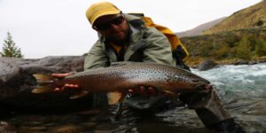 Brown trout fly fishing Patagonia Chile