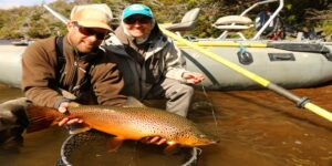 Brown trout fly fishing Patagonia Chile