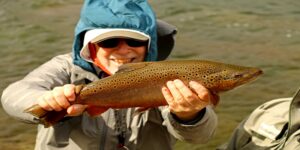 Brown trout fly fishing Patagonia Chile