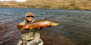 Brown trout fly fishing Patagonia Chile