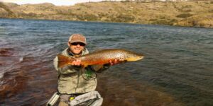 Brown trout fly fishing Patagonia Chile