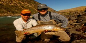 Brown trout fly fishing Patagonia Chile