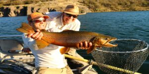 Brown trout fly fishing Patagonia Chile