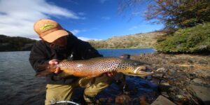 Brown trout fly fishing Patagonia Chile
